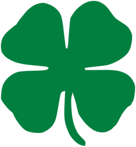 Clover PNG Picture 