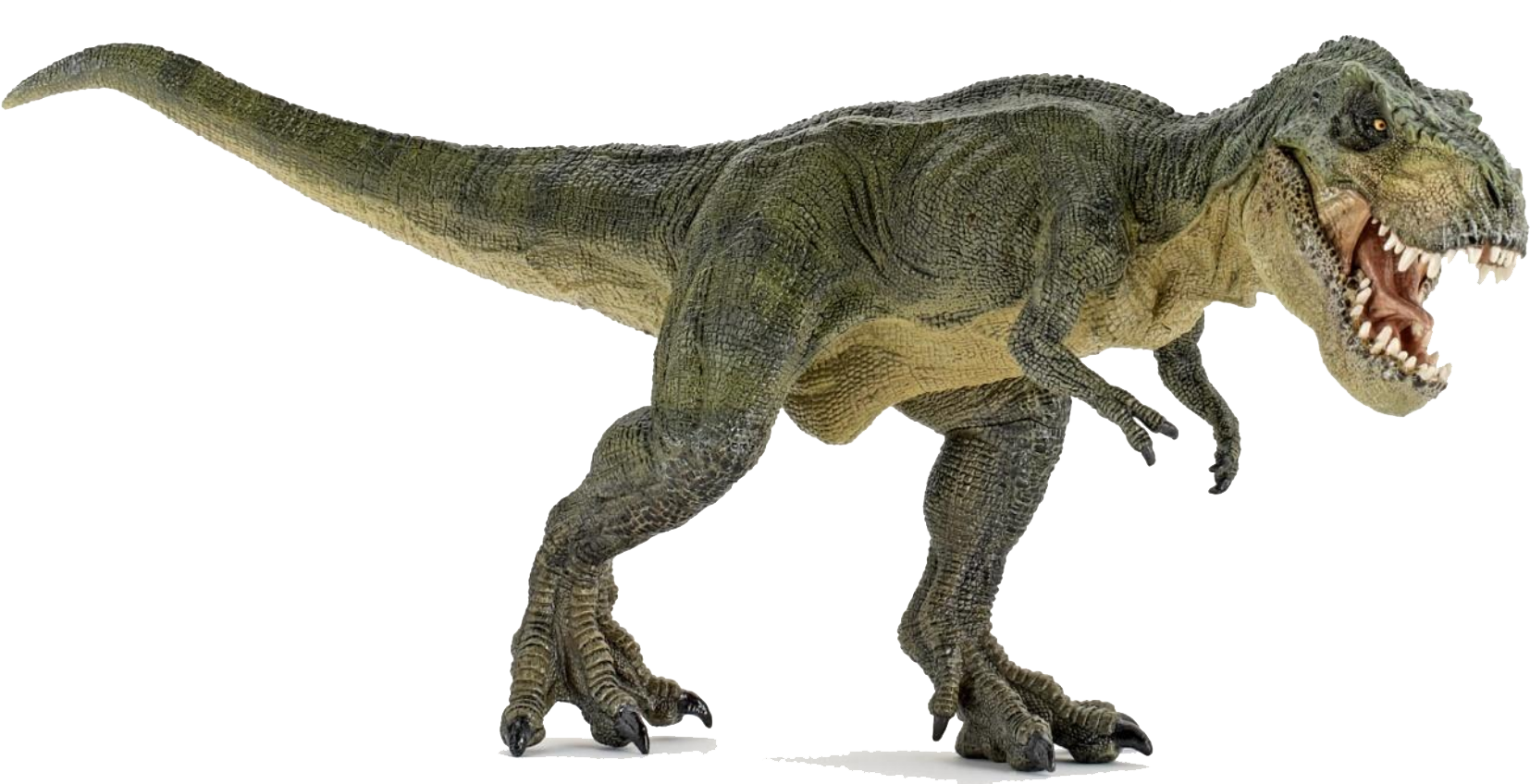 Dinosaur PNG Clipart 