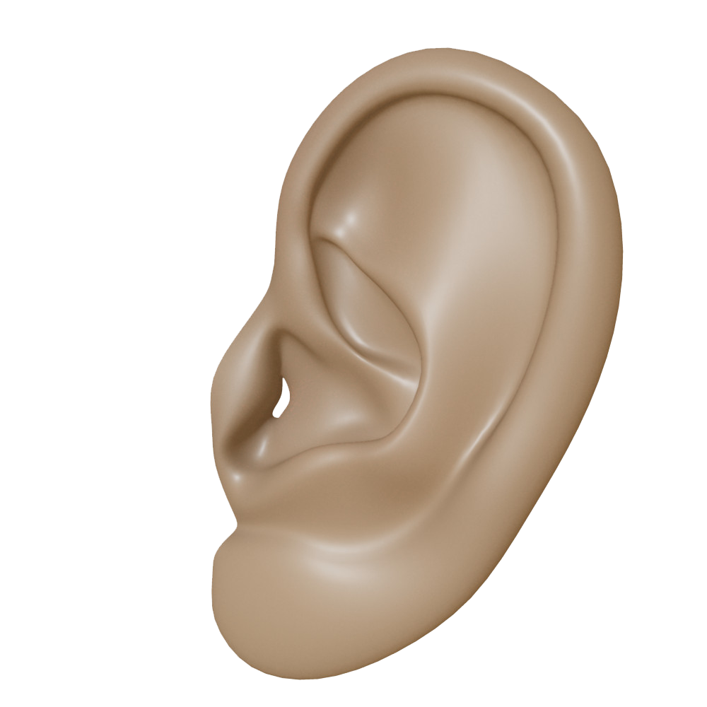 Ear PNG Clipart 