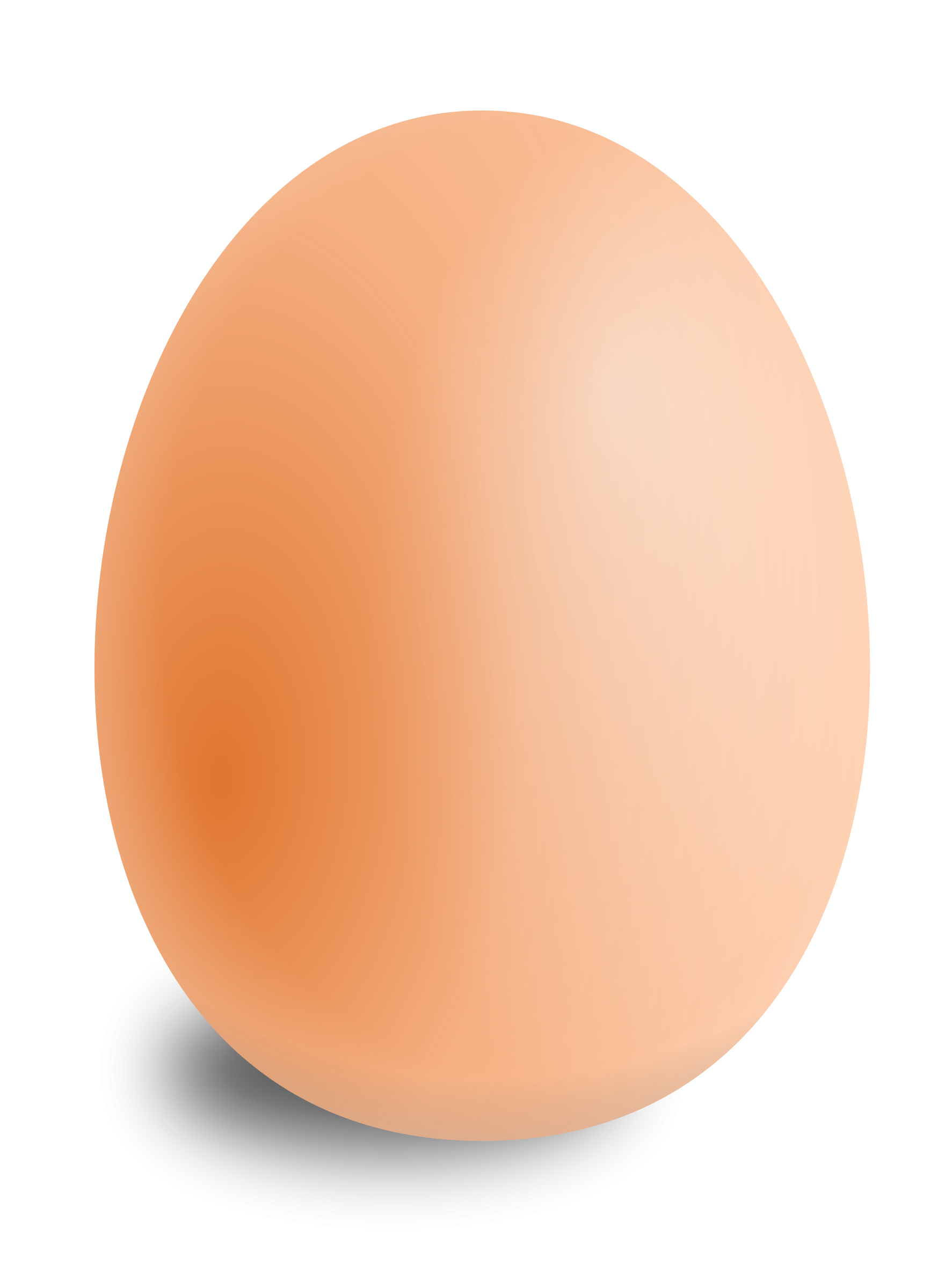 Egg Free Download PNG 