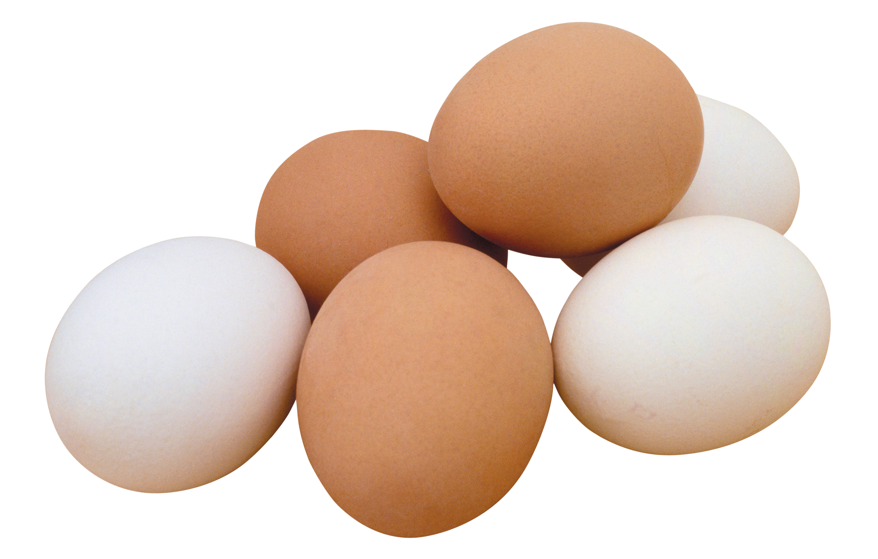 Eggs Clipart PNG Image - Picpng