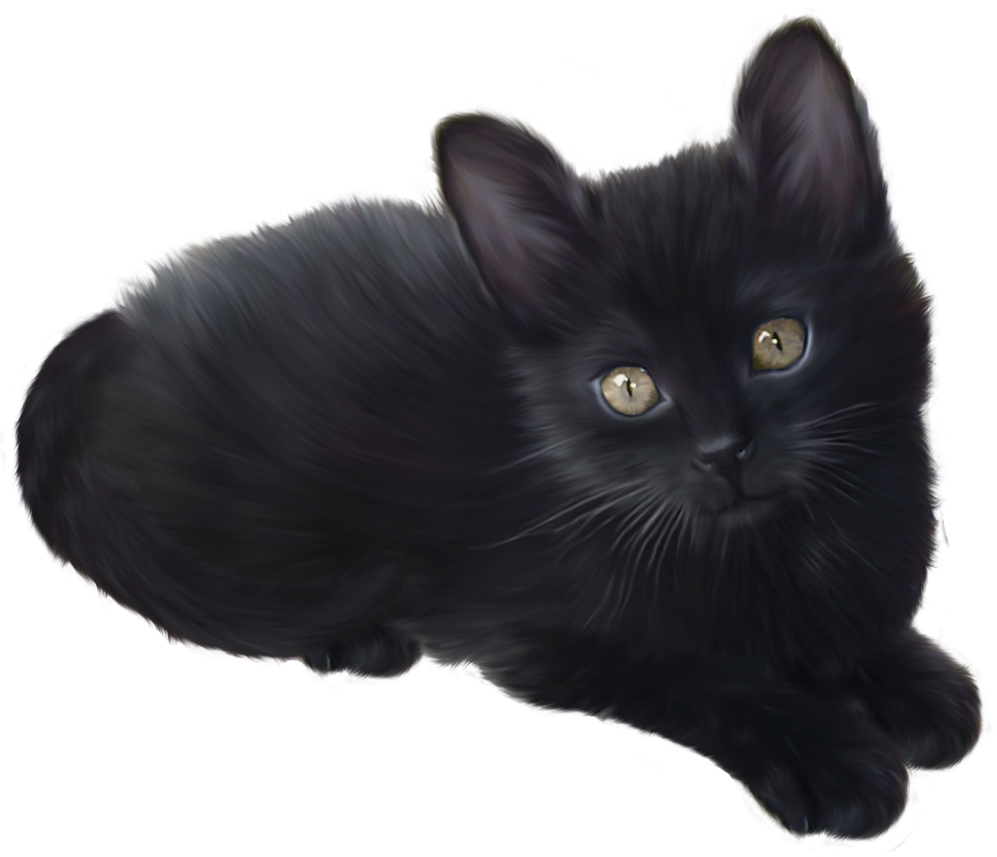 Черная кошка на прозрачном фоне. Чёрный кот. Черный кот на прозрачном фоне. Черный котенок.