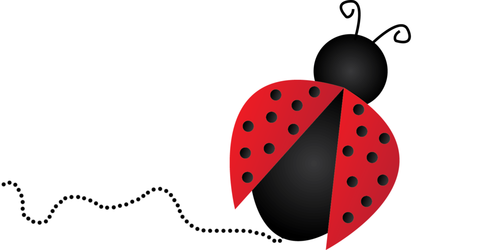 Ladybug png images