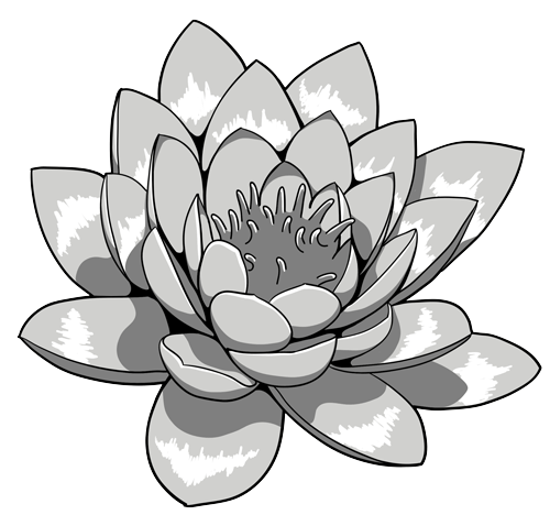 Water Lily July Birth Month Flower Illustration Stock Vector - Illustration  of tattoo, file: 244911039