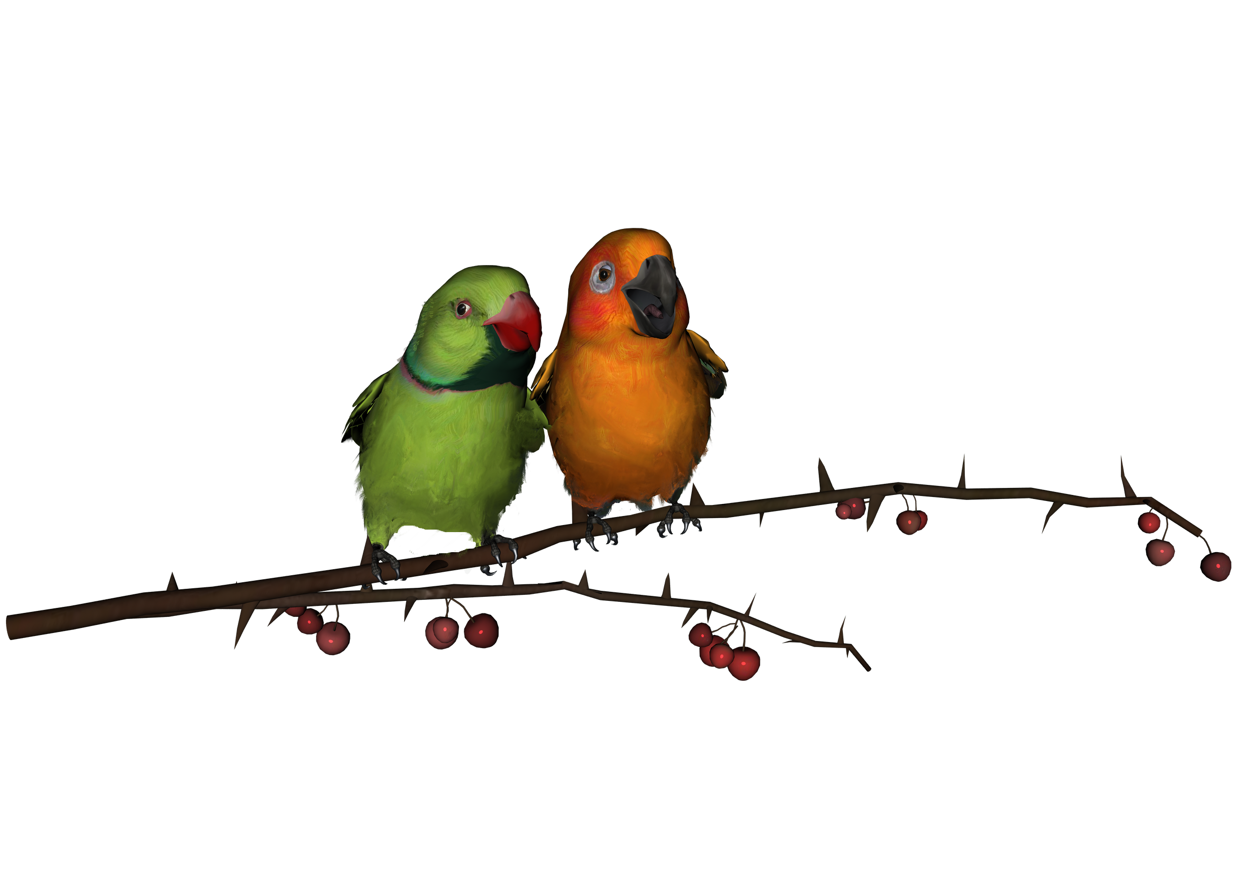 Love Birds Download PNG 