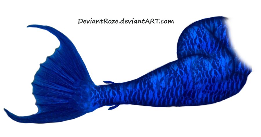 Mermaid Tails Png Clip Art Library