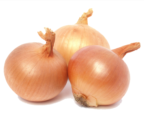 Onion PNG Picture 