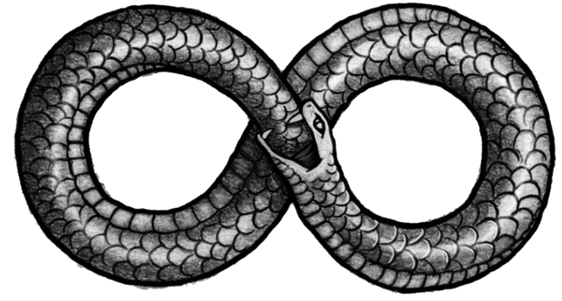 Ouroboros PNG Picture 