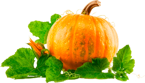 Pumpkin PNG Clipart 