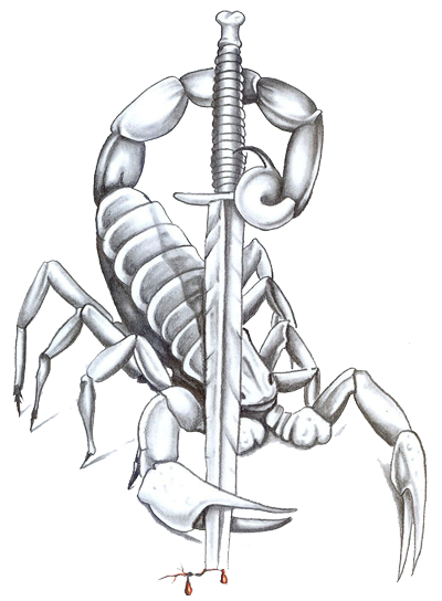 Scorpion tattoo silhouette PNG transparent image download, size: 528x600px