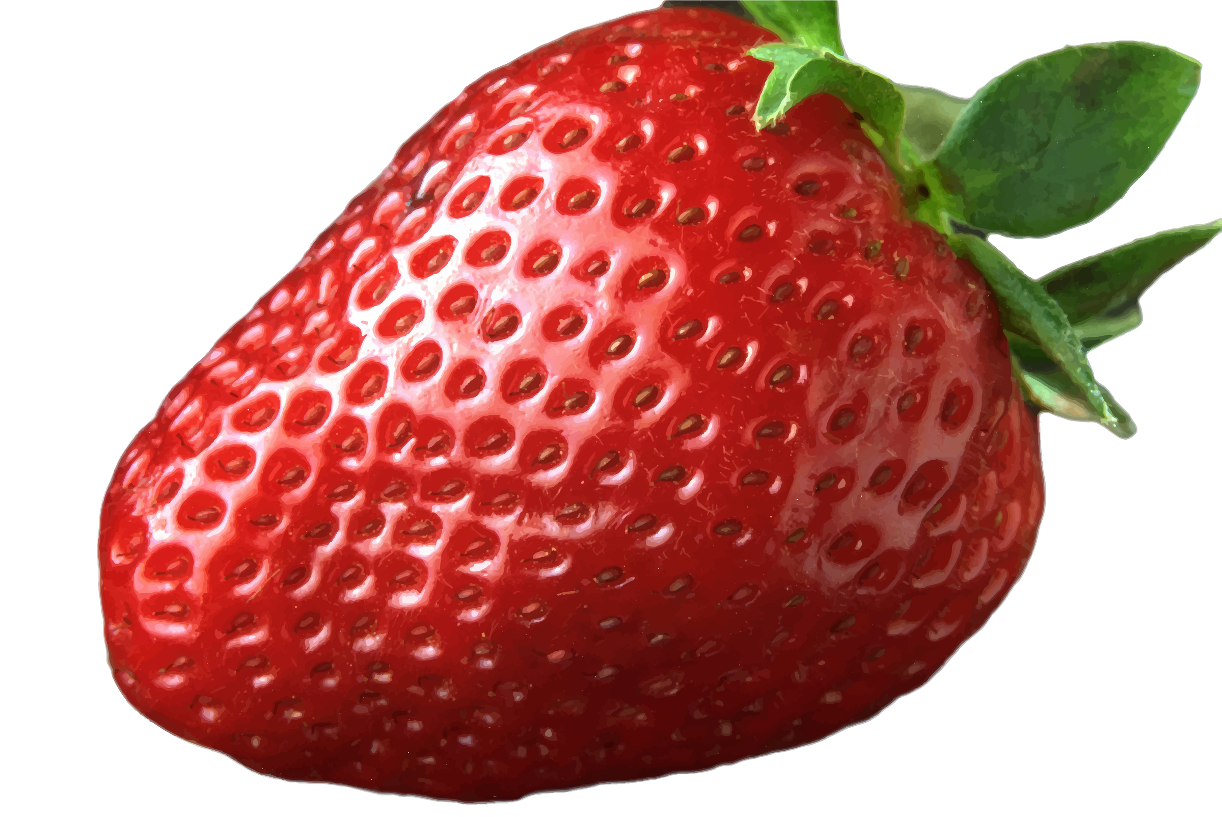 Strawberry Hair Goatlings with Blond Spots - wide 2