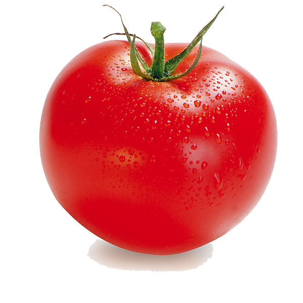 Tomato PNG Clipart 