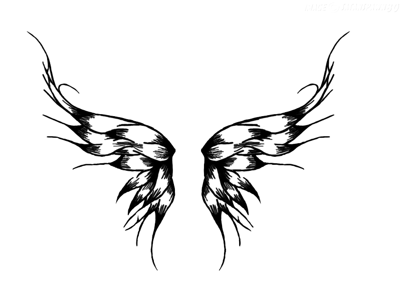 Wings Tattoos PNG Picture 