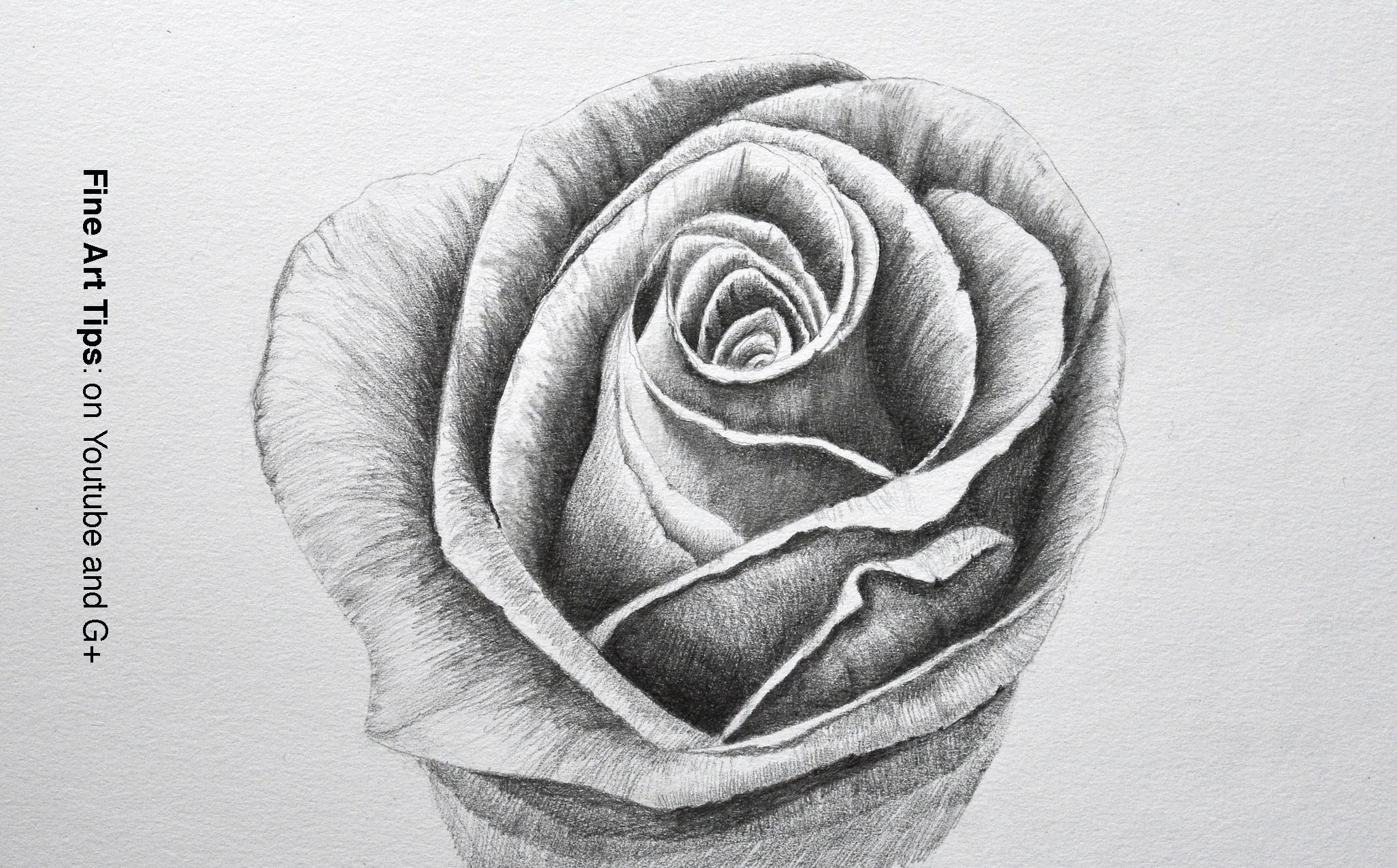 Drawing Flowers: How to Draw a Rose With Pencil - Fine Art-Tips 