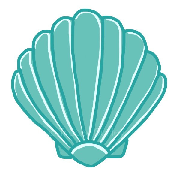 Teal scallop seashell illustration with white ridges and clean outline on white background.