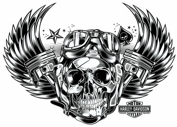 Skull  Pistons - Harley Davidson - US