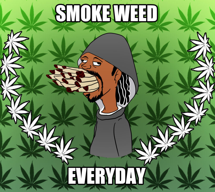 Snoop Dogg Smoking Weed Everyday