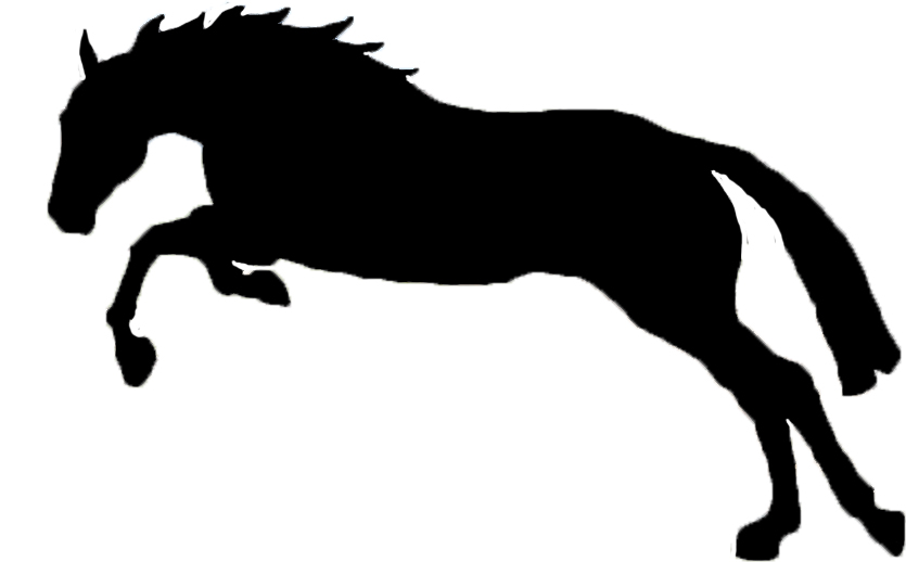 Jumping Horse Silhouette 1 by EdwardElric-Chan on Clipart library