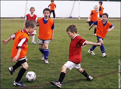Youth Soccer Practice Session - Kids Playing Indoor Football
