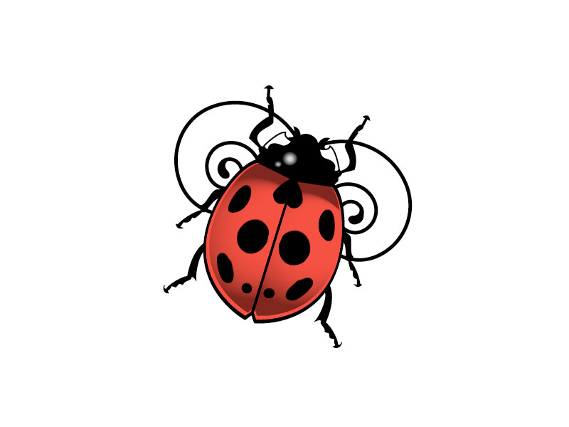 Micro-realistic style ladybug tattoo placed on the