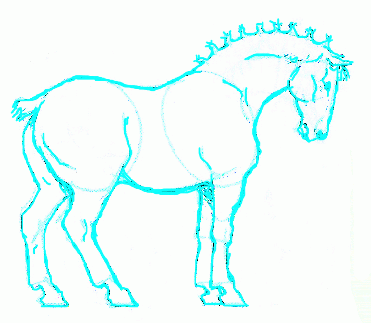 Horse Anatomy Sketch - Educational Line Drawing for Artists & Students