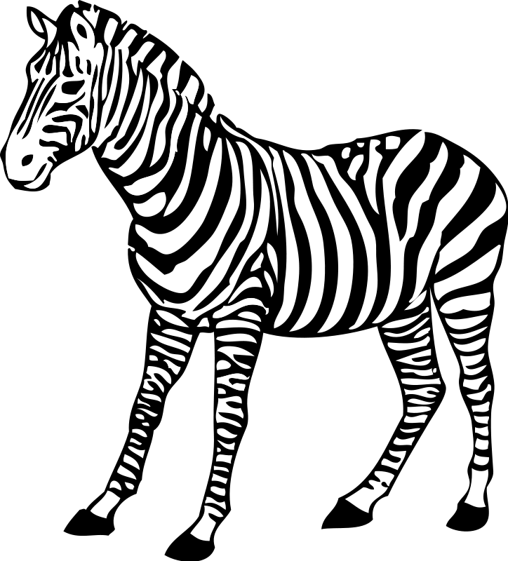 Zebra Clip Art Download