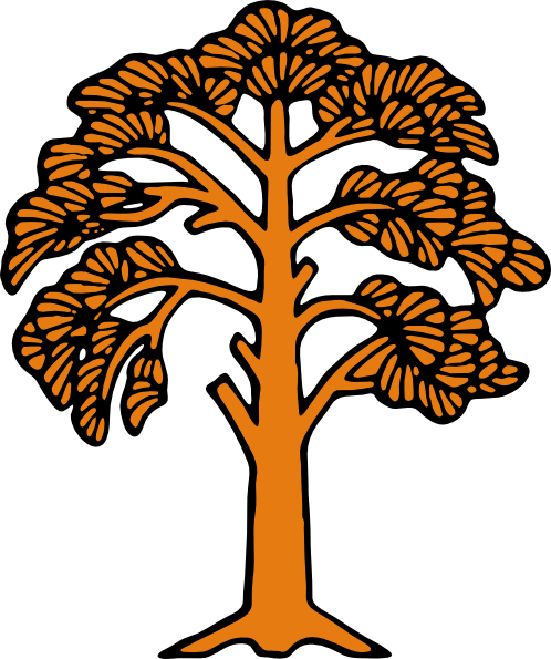 Stylized orange tree with fan-shaped leaves and thick trunk, illustrated in bold black outlines on white background.