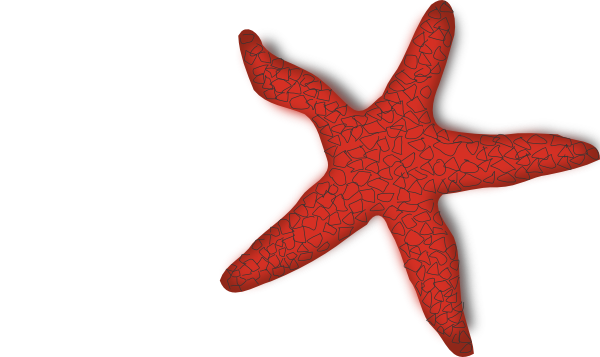 Cute Starfish Clip Art | Clipart library - Free Clipart Images