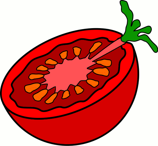 Fresh Tomato Illustration - Cut in Half with Seeds and Stem