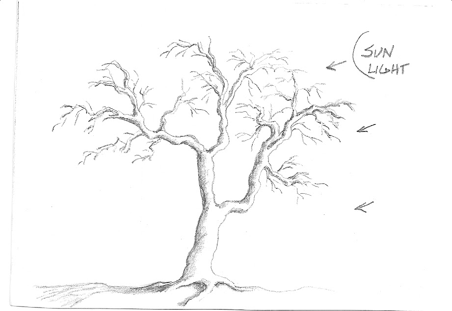 Desii_Grace // | Tree drawing, Tree drawings pencil, Drawings