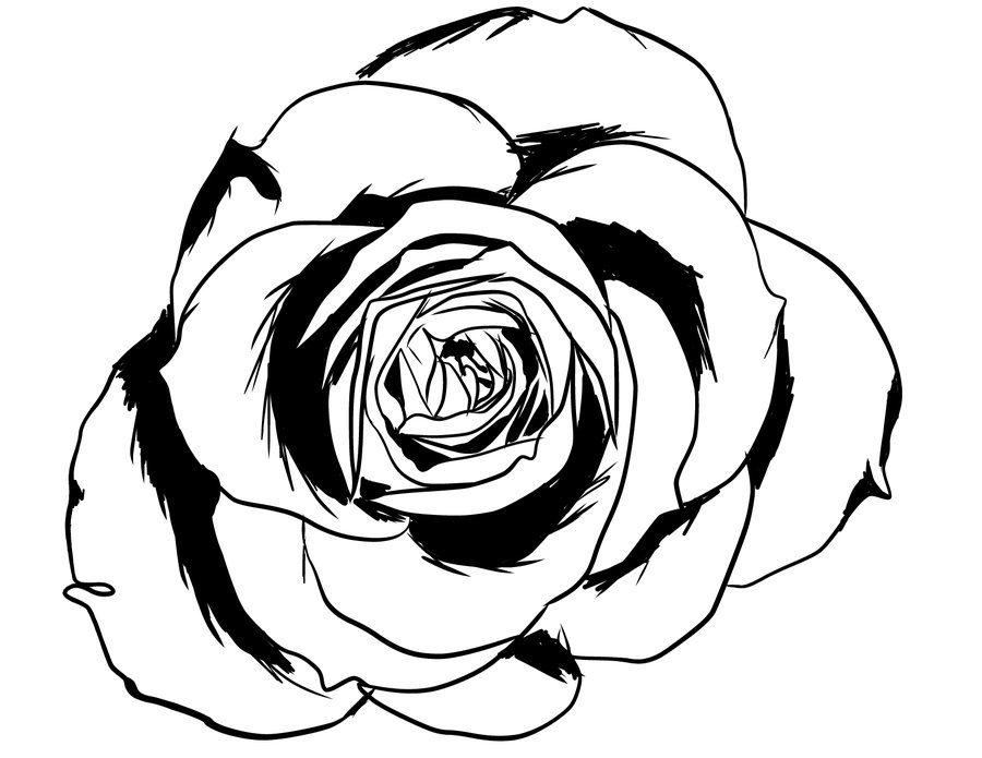 Free Vector | Rose flower line drawing vector | Flower line drawings, Roses  drawing, Rose sketch
