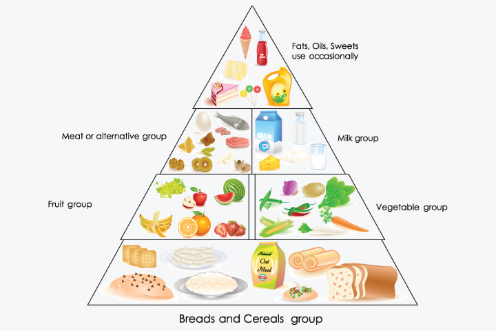 संतुलित भोजन का चार्ट Drawing कैसे बनाये | How to draw a chart of balanced  diet - YouTube