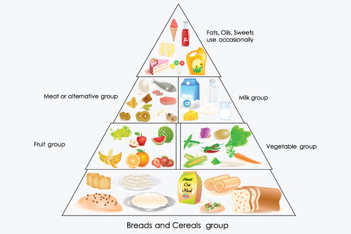 Balanced Diet Chart For Kids Clip Art Library