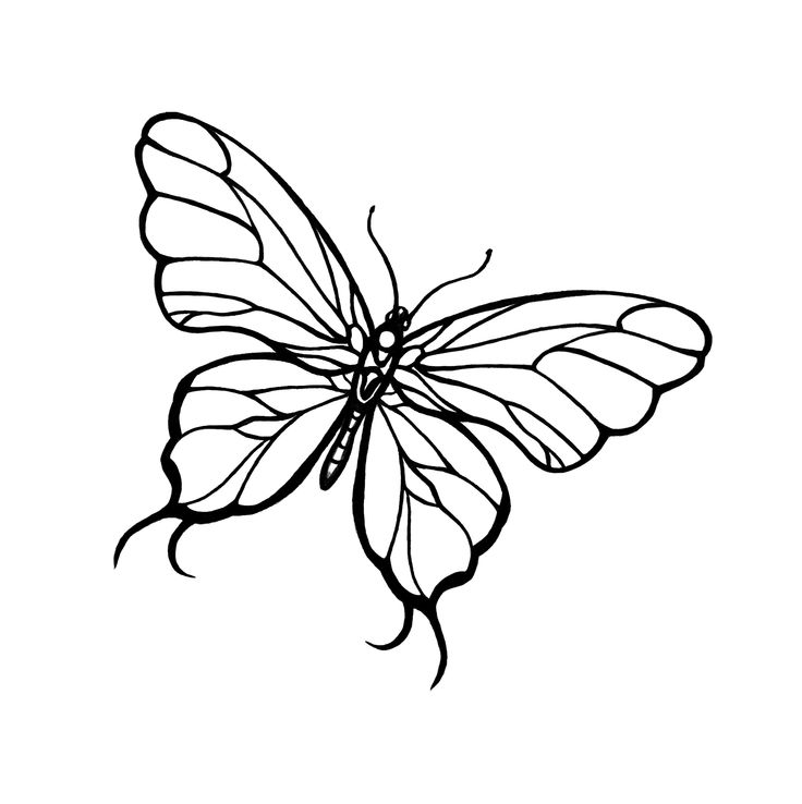 Tattoo art butterfly hand drawing and sketch with line art illustration  isolated on white background Stock Vector  Adobe Stock
