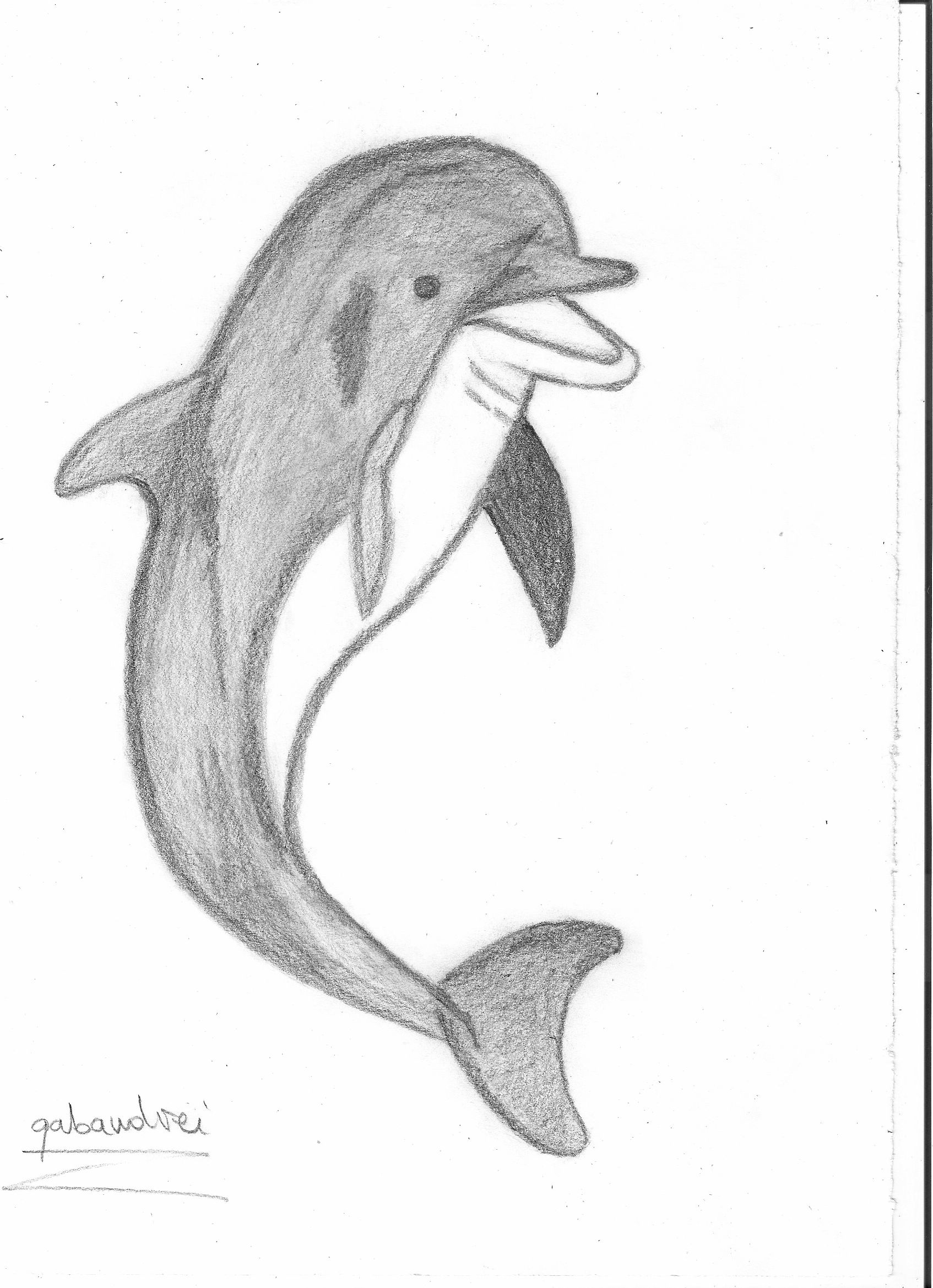 How to Draw a Dolphin  Easy Drawing Art