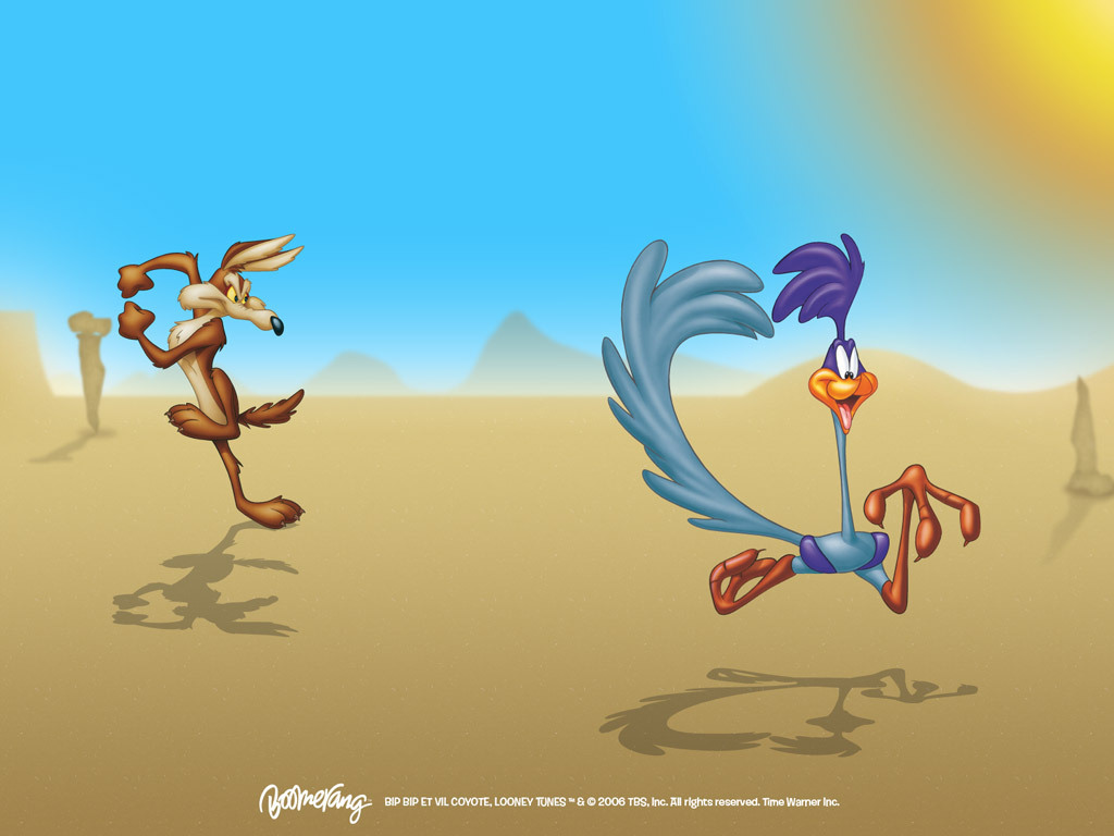 Road Runner  Wile E. Coyote - Looney Tunes Wallpaper (5226561 