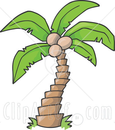 Coconut Tree Drawing Realistic - Drawing Skill