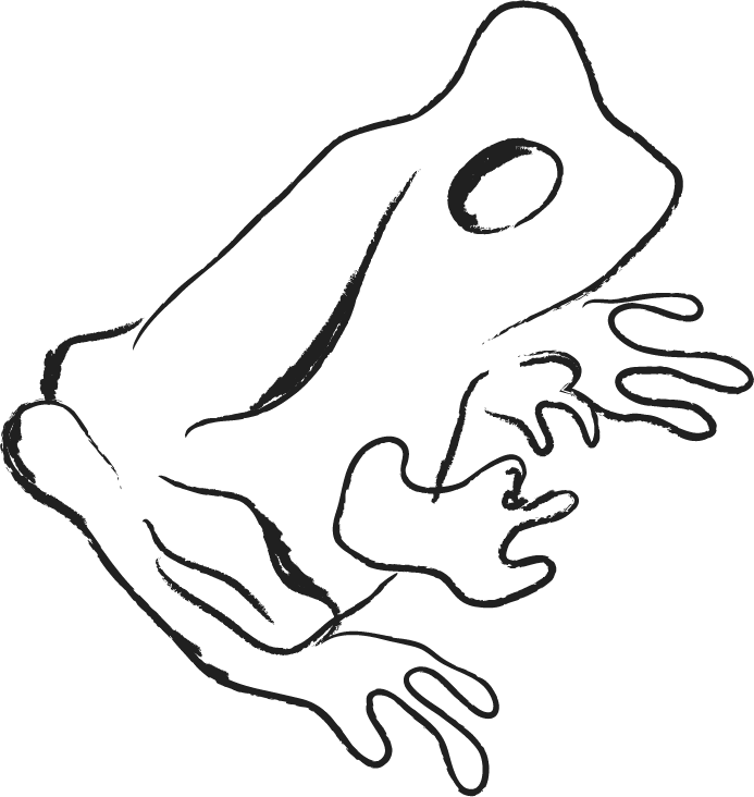 colorado river toad - Clip Art Library