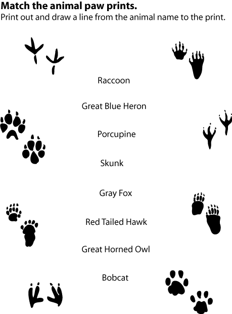 Free Animal Paw Prints, Download Free Animal Paw Prints png images ...