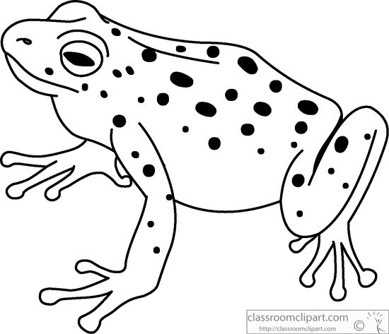 Animals : green-tree-frog-black-white-outline-914 : Classroom Clipart