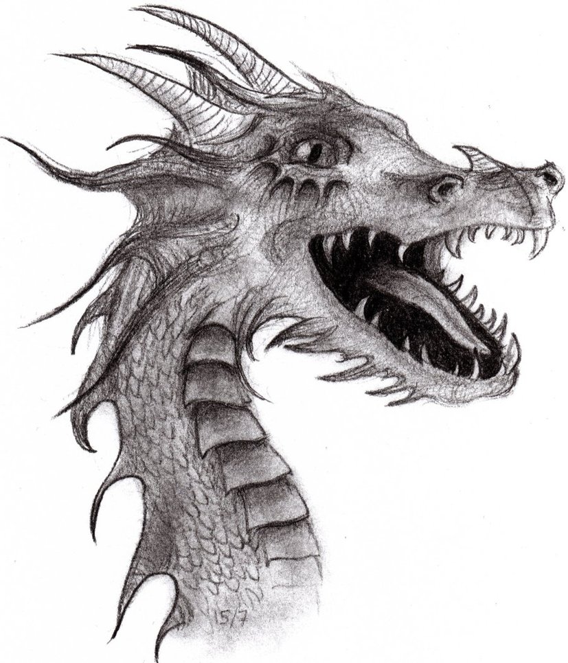 How to Draw a Dragon Head With Pencil  YouTube