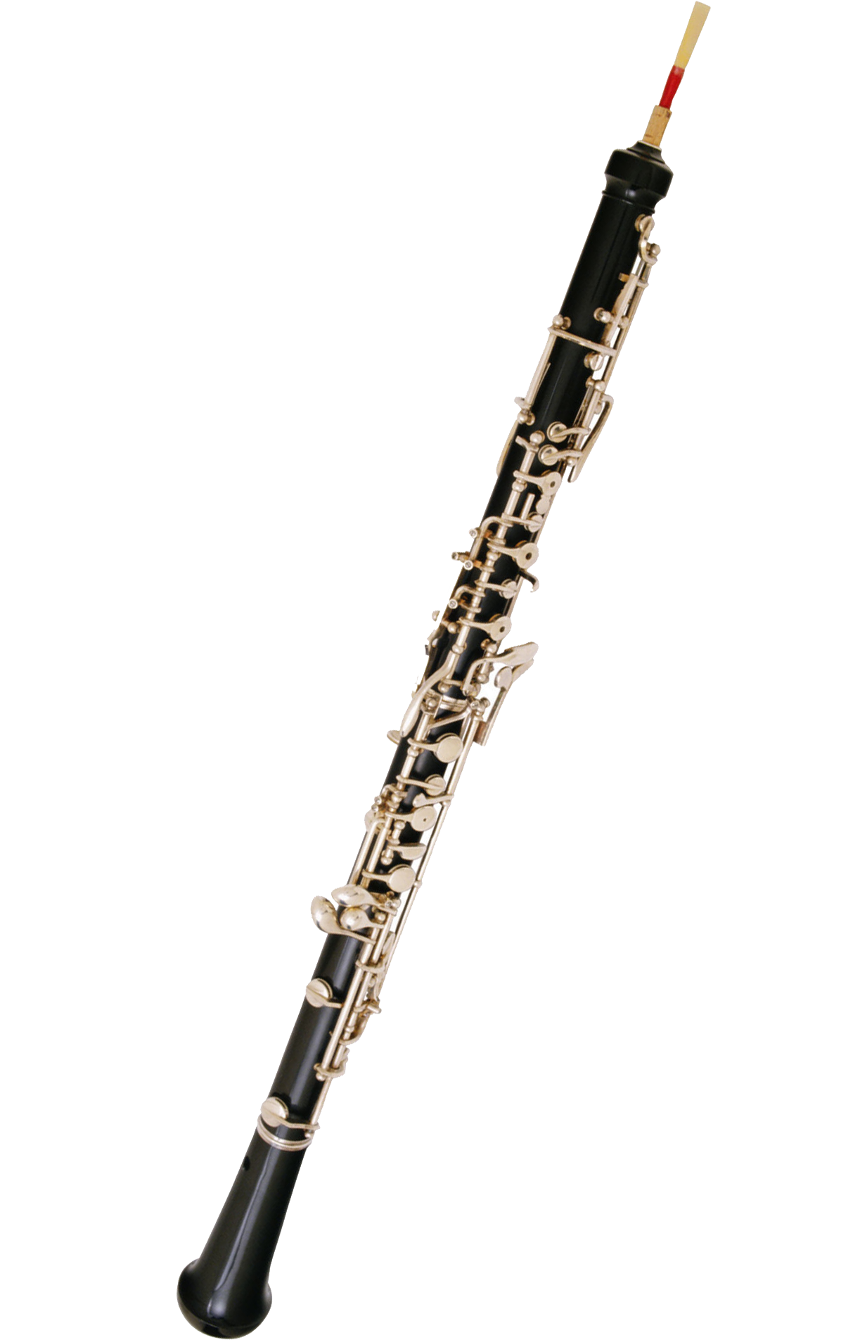 Bass Oboe Related Keywords  Suggestions - Bass Oboe Long Tail 