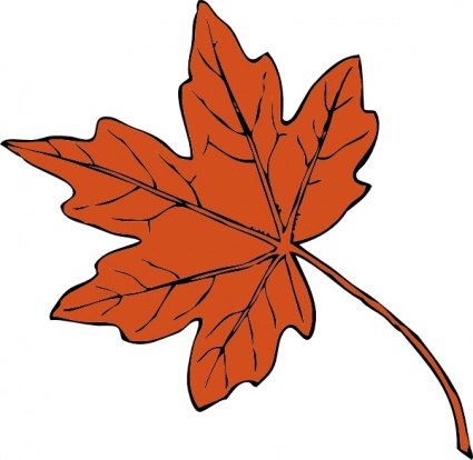 Vibrant orange maple leaf illustration with detailed veins and serrated edges on a white background.