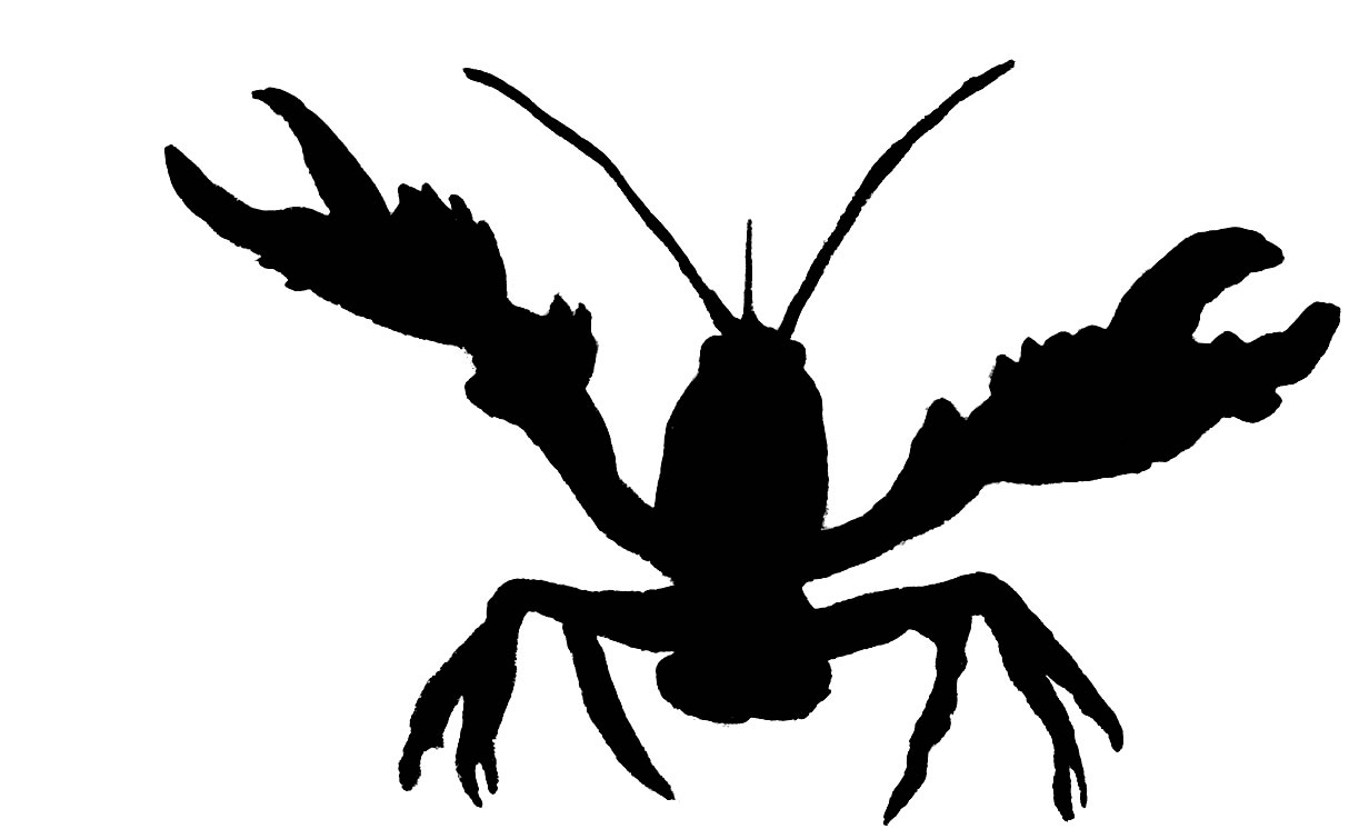 Pictures Of Crawfish - Clipart library