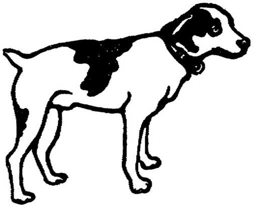 black and white animated dog