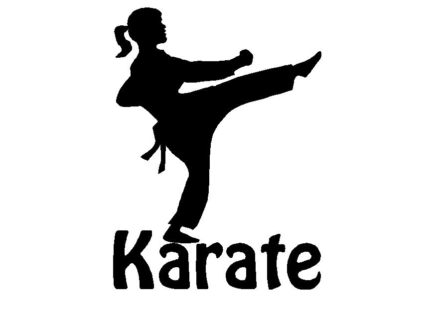 Karate Girl Decal, sport decals, spirit decals, sport spirit 