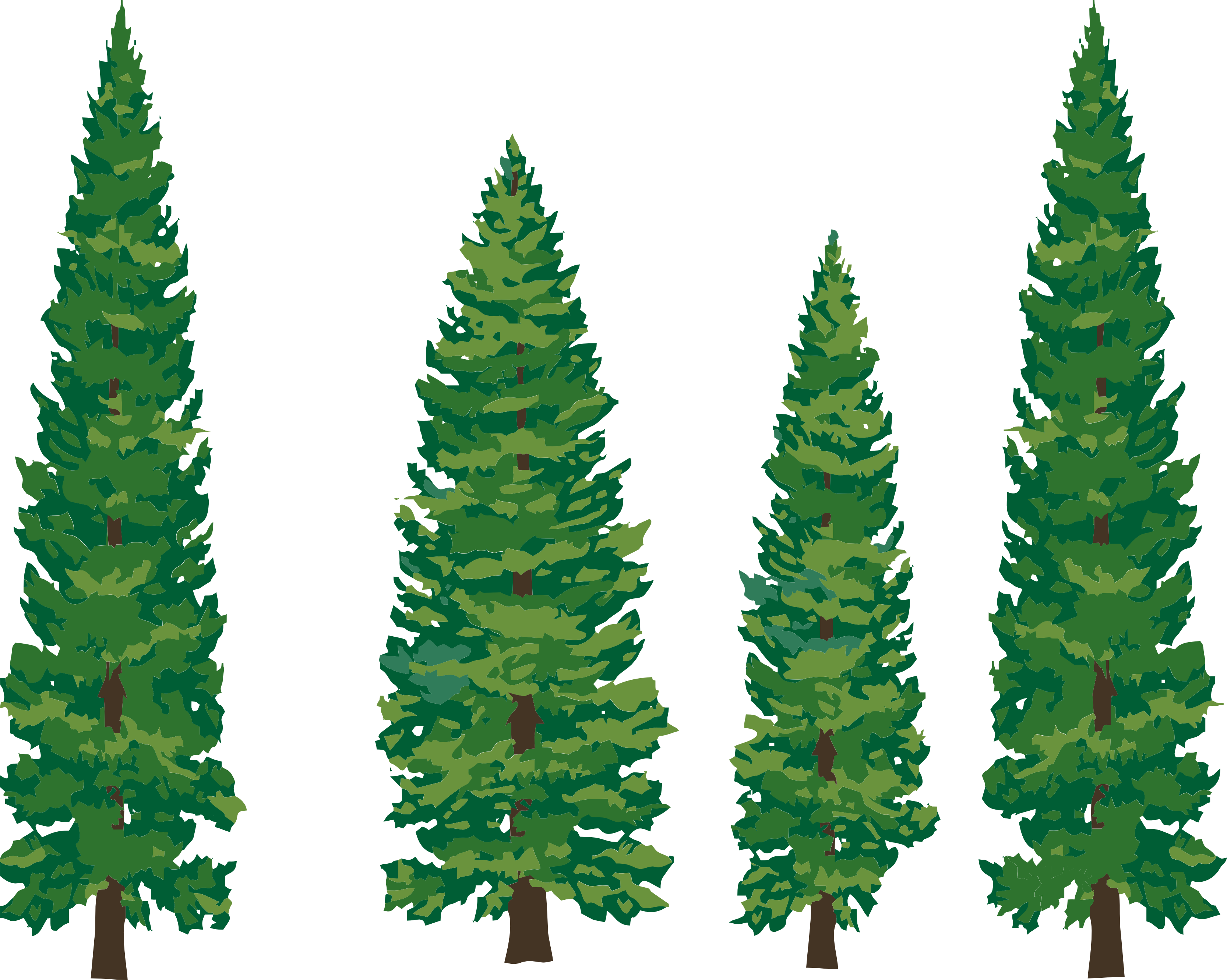 tall pine tree silhouette clip art