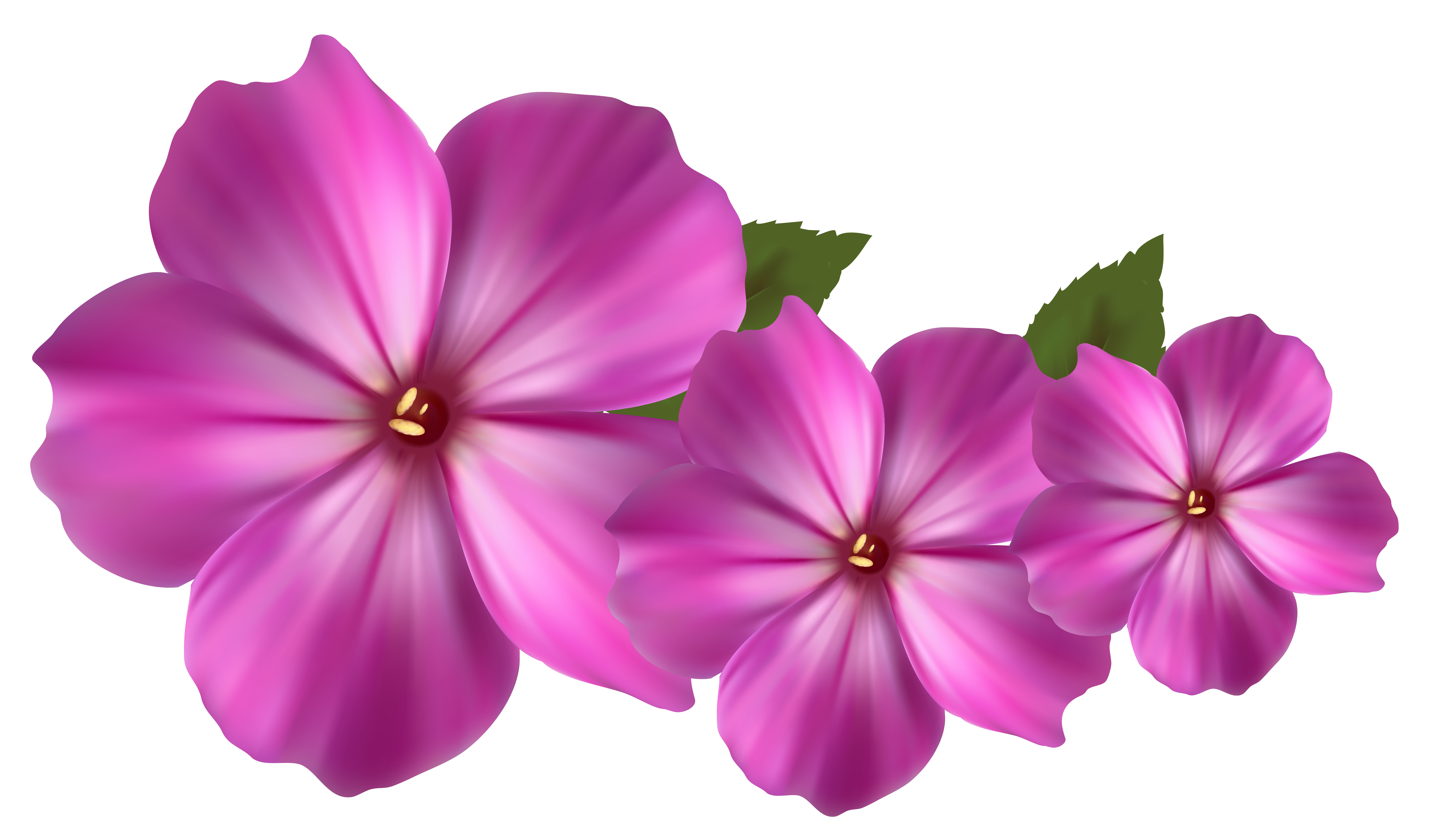 Pink Flower Decor PNG Clipart