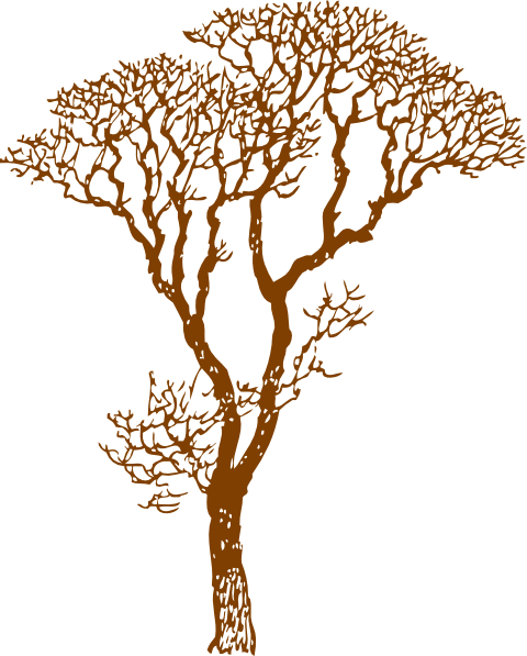 Cedar Tree Drawing Silhouette @ Silhouette.pics