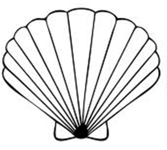 free-sea-shell-clipart-download-free-sea-shell-clipart-png-images